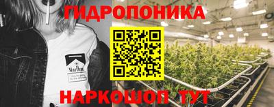ГАЛЛЮЦИНОГЕННЫЕ ГРИБЫ Кулебаки