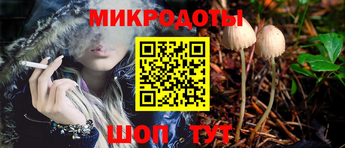 Псилоцибиновые грибы MAGIC MUSHROOMS  Галлюциногенные грибы Psilocybe  Ковров  Вход с VPN 